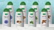 Diferentes adaptaciones del packaging Phyto Nature